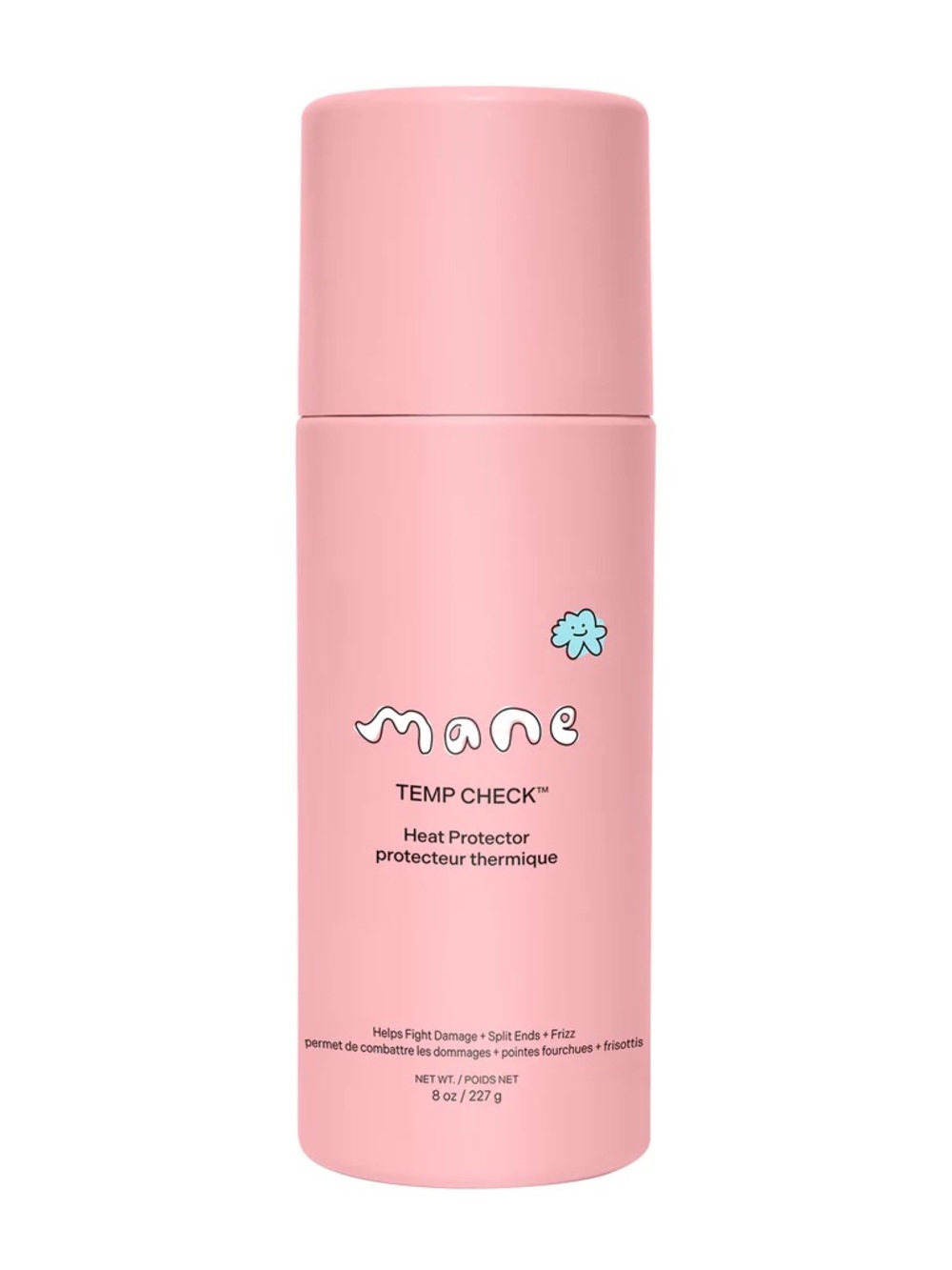 💋2/$25 mane temp check heat protectant